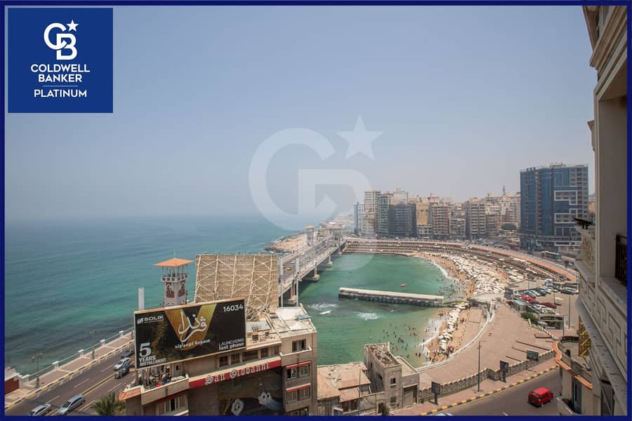 3 WhatsApp Image 2024-09-18 at 14.15. 25_34289057. jpg