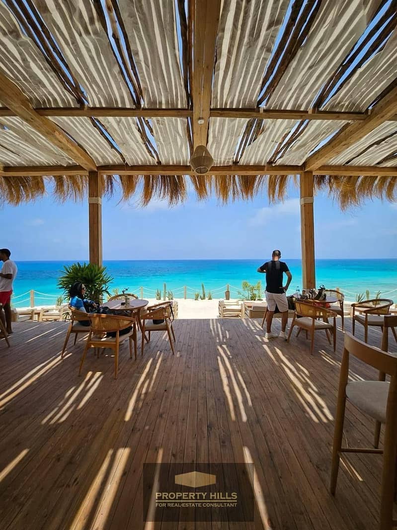 3 PHOTO-2025-08-18-15-01-22. jpg