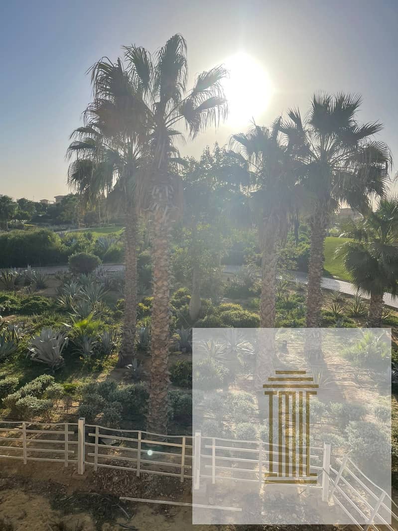 11 4ef25d0b-6951-40d3-be3b-c1cdcb963114. jpeg