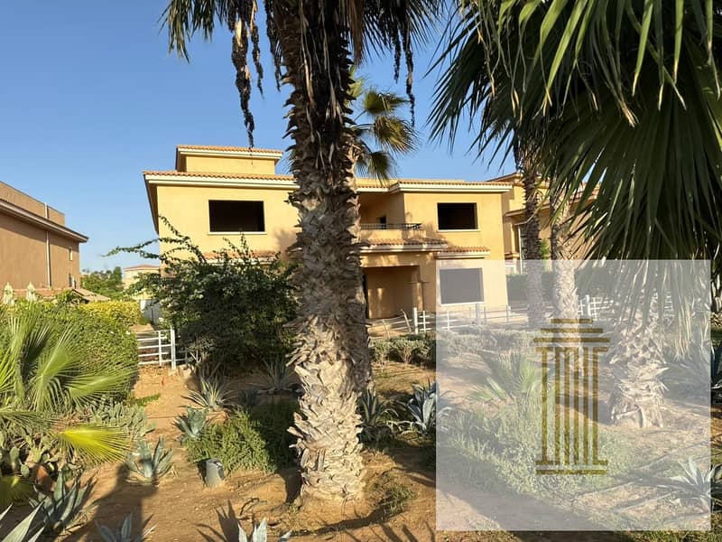 13 1dc42929-fcb1-47f2-9cbe-c08dd41f7659. jpeg