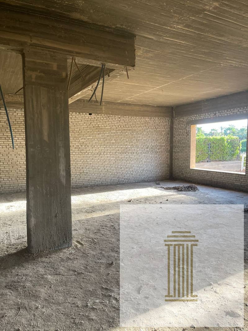 55 d907abda-a388-48f3-a130-7198e7c52bc9. jpeg