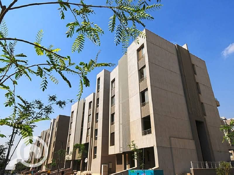 4 WhatsApp Image 2025-10-27 at 15.12. 51_6fdf98cf. jpg