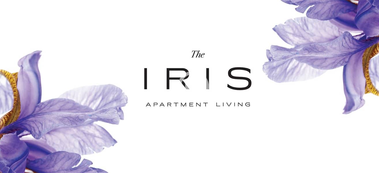 4 8796679f-88c5-44de-a216-340628fd4cff. jpg