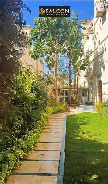 3 380479587_6653646158082956_1353701697551086048_n. jpg