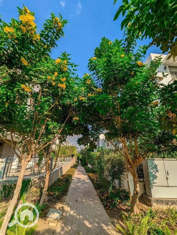 6 4e49d2a4-e723-4575-b54a-18716a8b3236. jfif. jpg