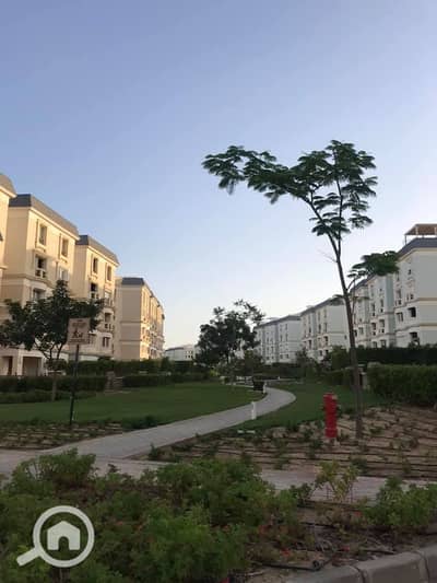 3 Bedroom Penthouse for Sale in New Cairo, Cairo - 201103811_185605393565282_4892820142833421067_n. jpg