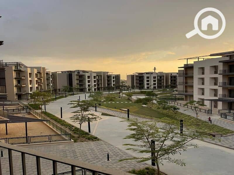 7 290a23cf-78fa-4e70-8525-1d6e8523b29c. jpg