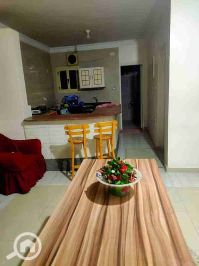 1 Bedroom Flat for Rent in Zagazig, Sharqia - 1000675049. jpg 1 Bedroom Flat for Rent in Zagazig, Sharqia - 1000675049. jpg