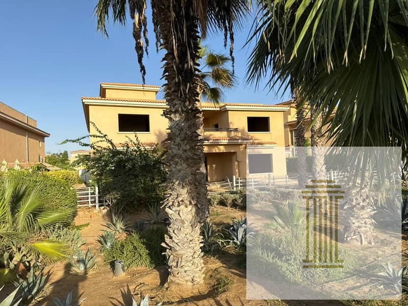 10 1b1b87fc-53ed-42b4-b960-a5185e408564. jpeg