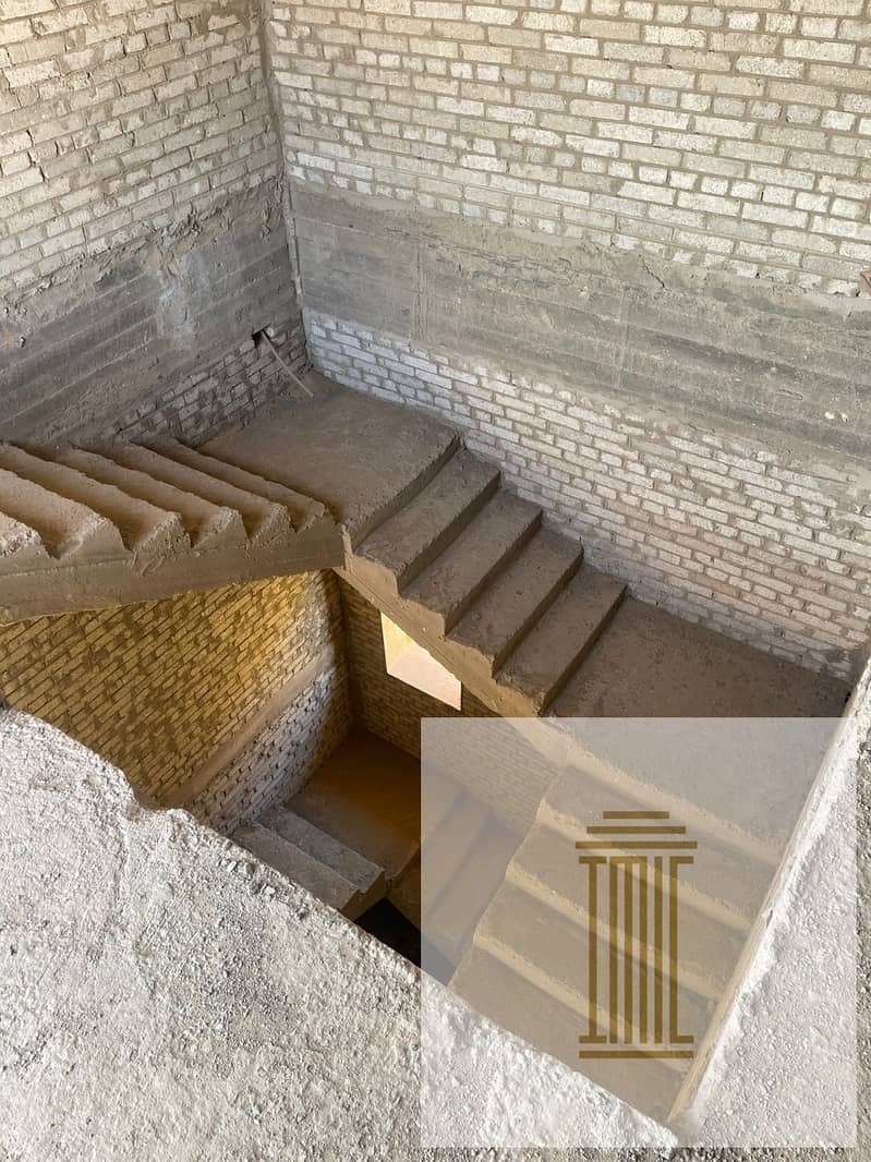 50 bdad09ee-b57b-4c3f-bc79-c2db62de9fc4. jpeg