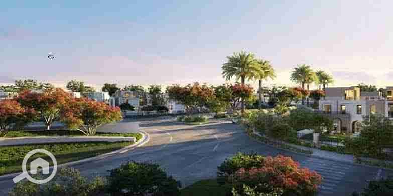 6 images - 2025-08-24T224242.484. jpeg