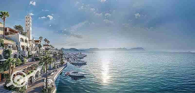 8 images - 2025-08-04T182921.368. jpeg