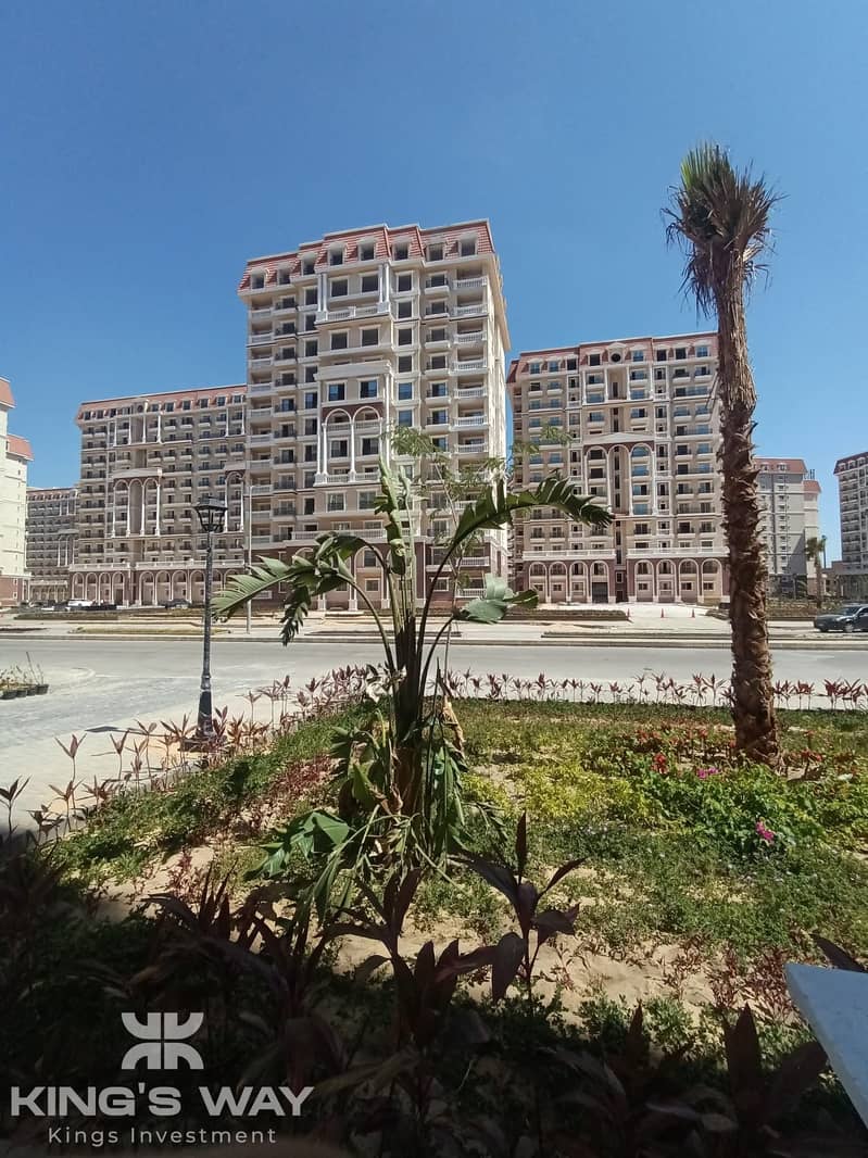 4 2025_09_09_00_10_IMG_8397. JPG