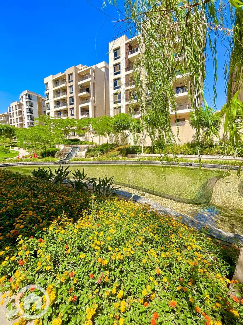 5 WhatsApp Image 2025-10-27 at 3.38. 46 PM. jpeg