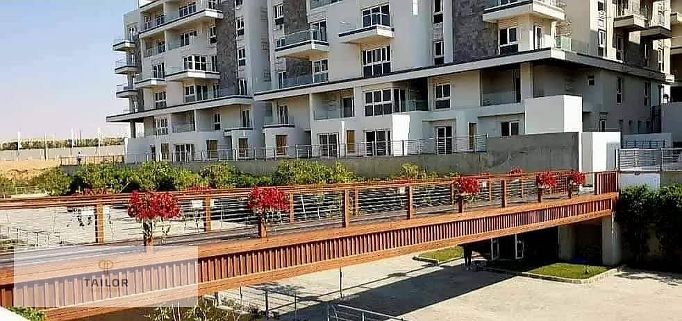 5 471165166_521391070929469_8443148746597132845_n. jpg