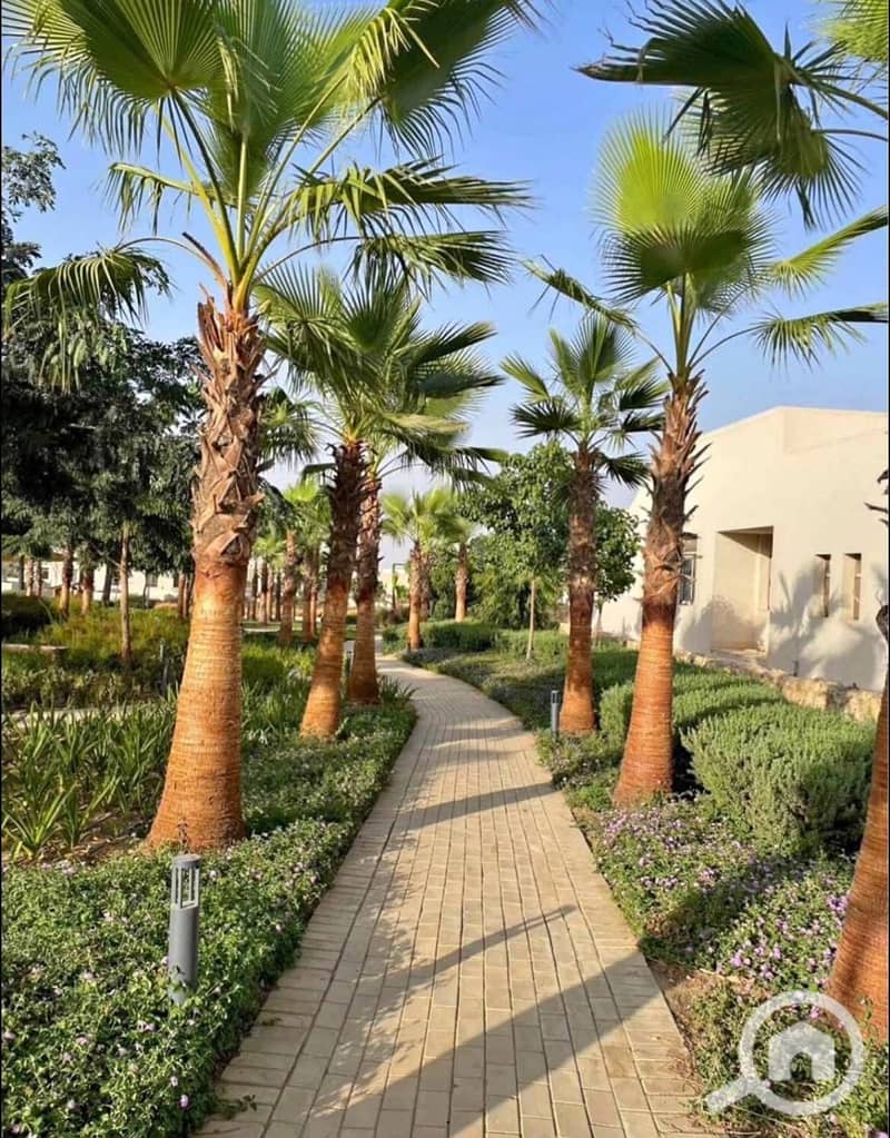 9 520534358_122240519366226581_3016558698081157844_n. jpg