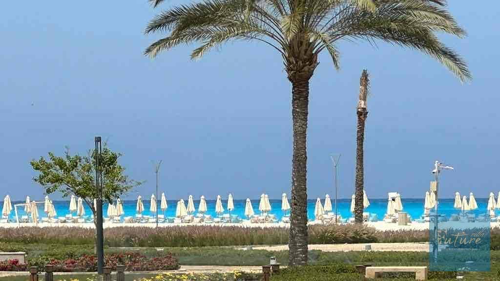 4 b62987fd-f610-4838-b820-8816eb5f39f8. jpg