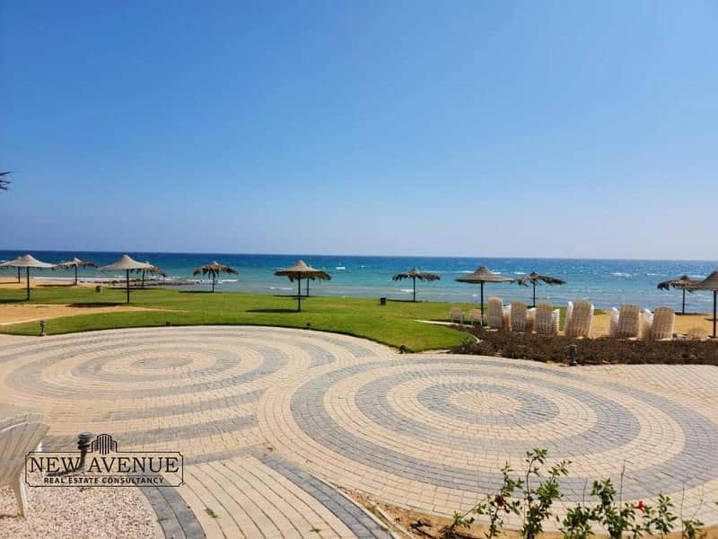 7 340dd8bc-fc71-4b85-a07a-2e0ea66d6c7b. jpg