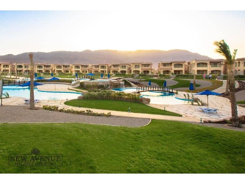 10 5649702b-086e-456a-882b-8855145a1330. jpg