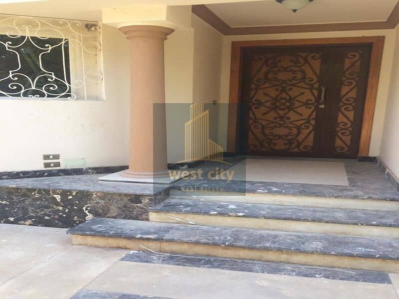 7 102b4919-7a7e-4a41-853c-4feb13a64afe. jpg