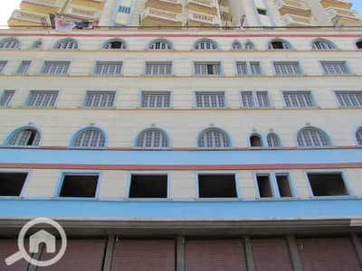 فلیٹ 3 غرف نوم للبيع في مينا البصل، الإسكندرية - IMG_9294. JPG فلیٹ 3 غرف نوم للبيع في مينا البصل، الإسكندرية - IMG_9294. JPG
