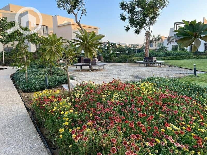 4 6a2c0c96-8636-49f8-a491-c4a4c35dca3d. jpg