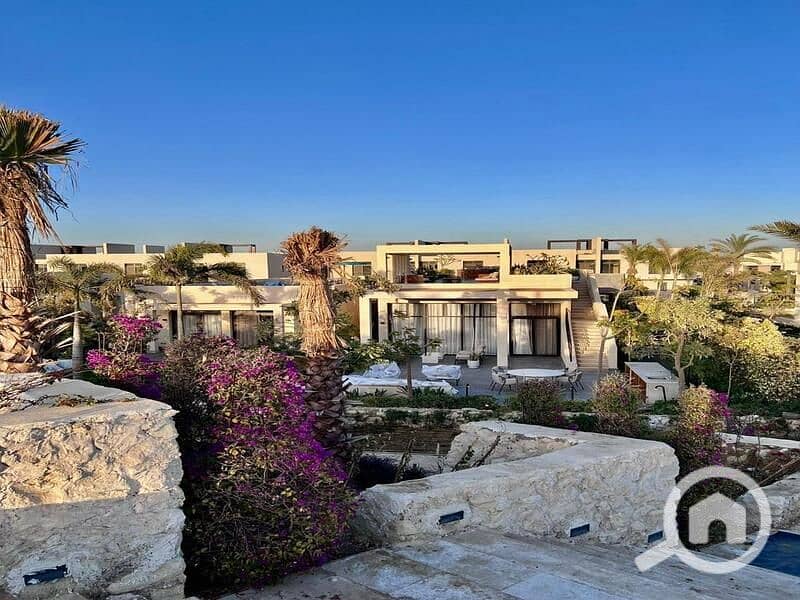 8 535bc167-7ab7-44c1-b51d-0893fbd41ed5. jpg