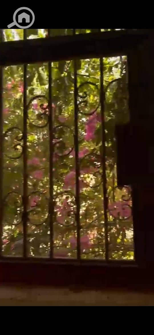 10 IMG-20251027-WA0157. jpg