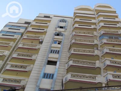 فلیٹ 3 غرف نوم للبيع في مينا البصل، الإسكندرية - IMG_9292. JPG