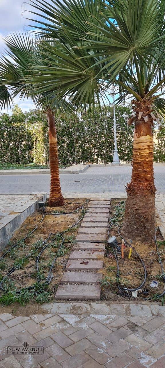 3 7d48615e-c3f0-48d9-927c-378effff0f1b. jpg