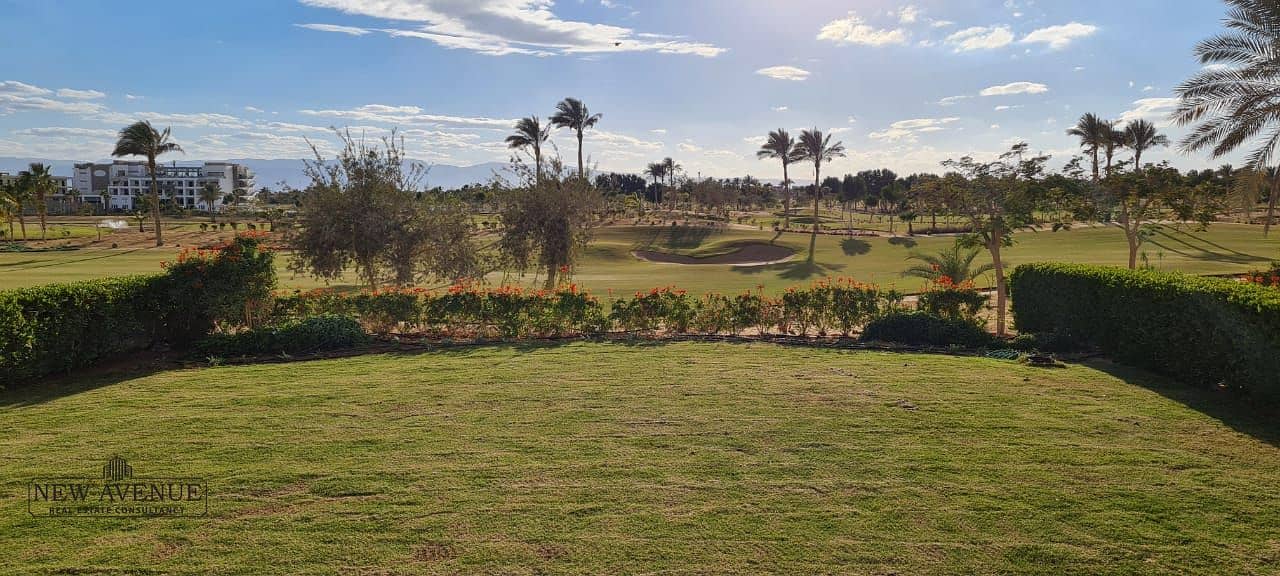 8 de65a5f8-9086-4377-9fd1-bf9bd3730b28. jpg