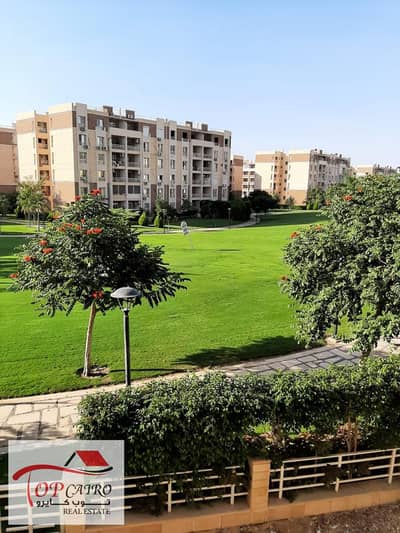 3 Bedroom Flat for Rent in Madinaty, Cairo - WhatsApp Image 2025-10-27 at 12.42. 07 PM. jpeg