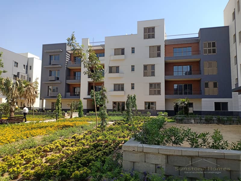 IMG20200908125648. jpg