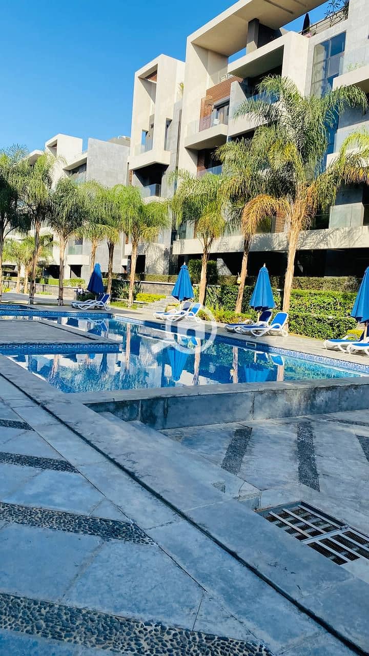 3 photo_2023-12-06_21-17-00. jpg