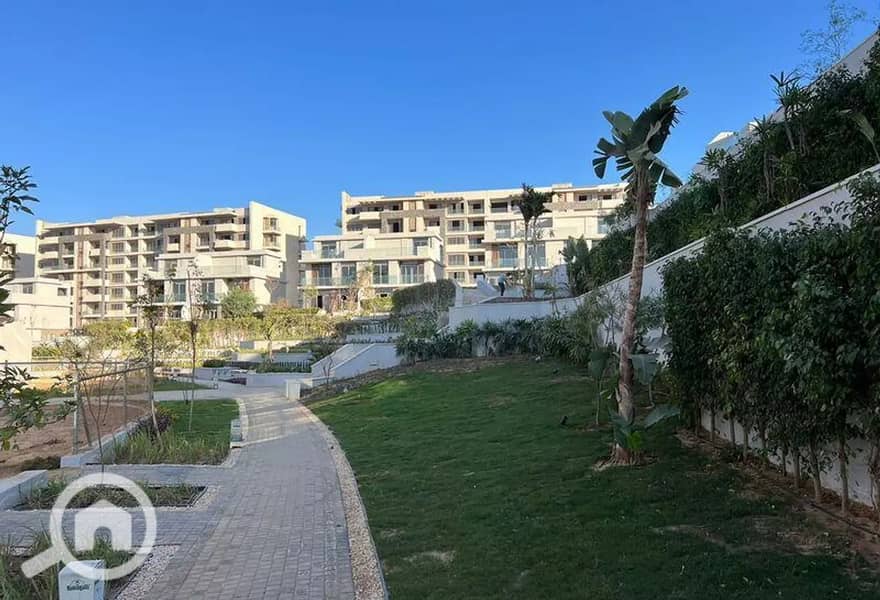 6 4448377-fd8fco. jpg