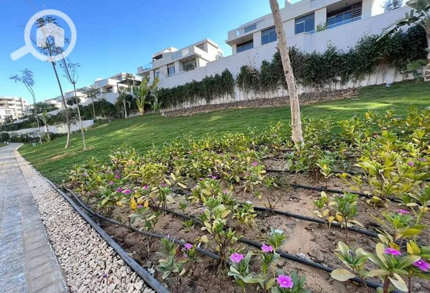 10 4448377-70aa8o. jpg