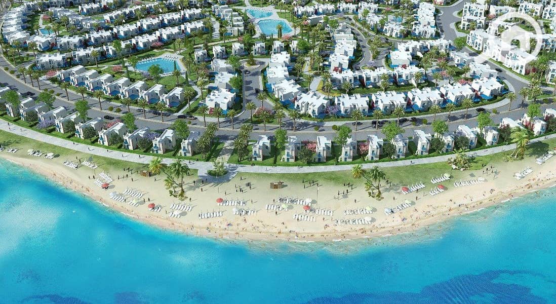 6 061e6c17-a323-43d6-b253-090e67c0e396. jpg