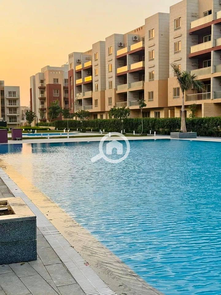 557645569_122253005108239417_541519645862503781_n. jpg 557645569_122253005108239417_541519645862503781_n. jpg