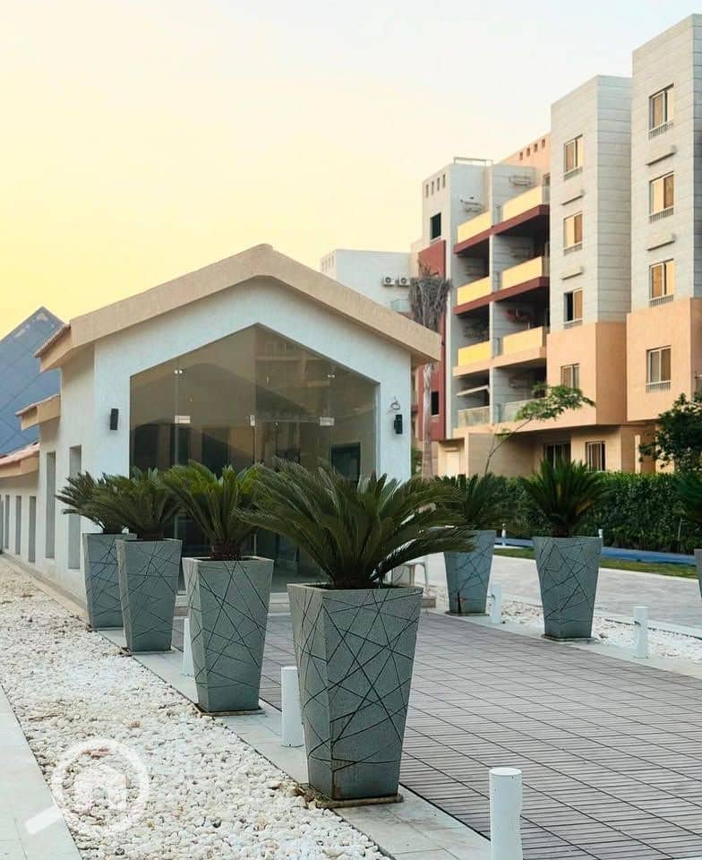 9 541283858_122246916956239417_6411401706328186994_n. jpg