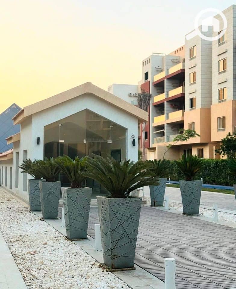 8 541283858_122246916956239417_6411401706328186994_n. jpg