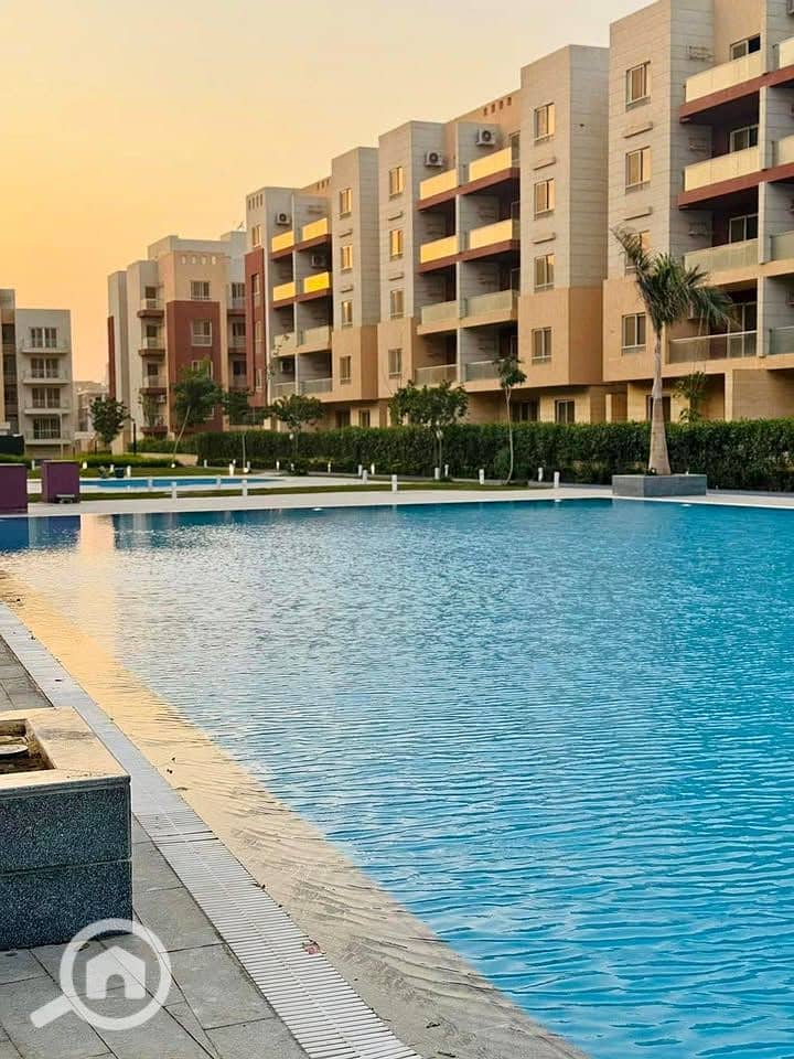 10 557645569_122253005108239417_541519645862503781_n. jpg