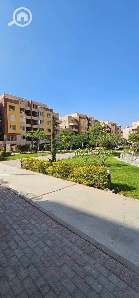 12 514622844_742773548291815_1948831883360259806_n (1). jpg