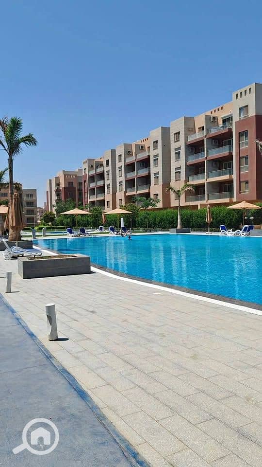 13 518327365_769825948908304_7805705731152726161_n. jpg