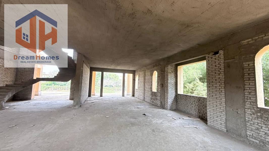 4 53bbf9a8-e824-47bc-aef3-e9d050a17461. jpg