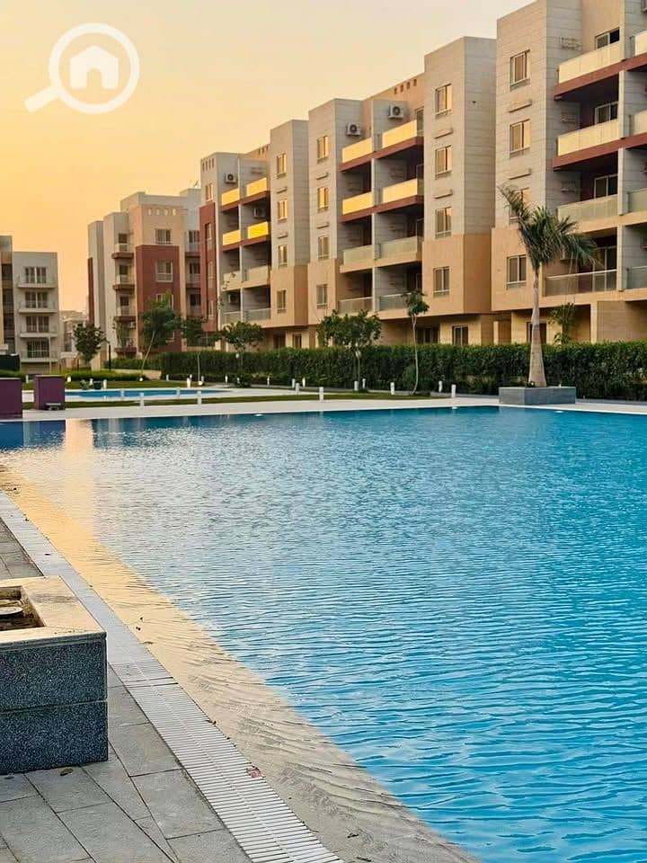 7 557645569_122253005108239417_541519645862503781_n. jpg