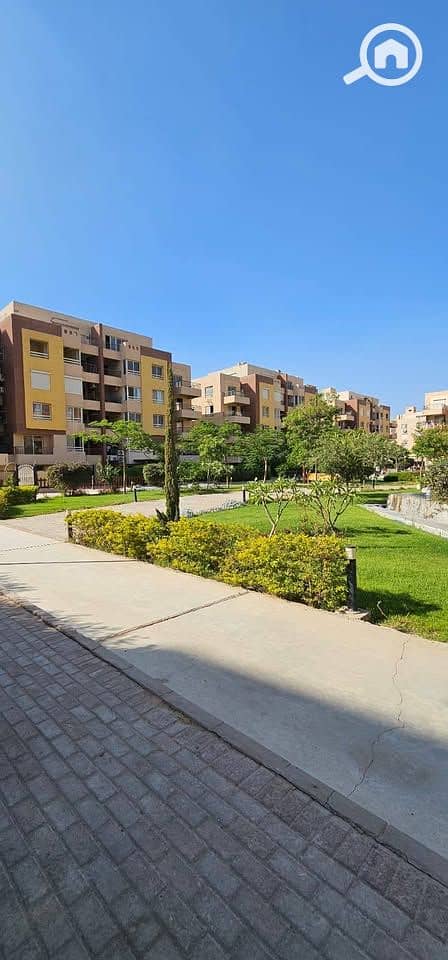 11 514622844_742773548291815_1948831883360259806_n (1). jpg