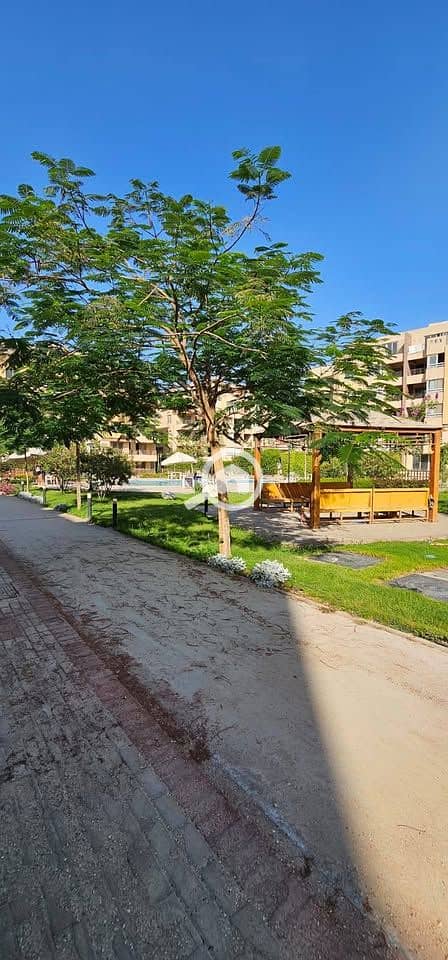 10 515171696_742773451625158_421086080241915254_n. jpg