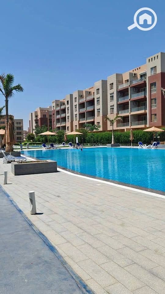 11 518327365_769825948908304_7805705731152726161_n. jpg