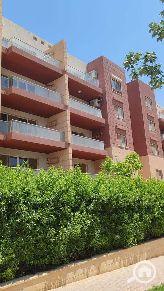 9 508111652_747554804468752_6934586705745791470_n. jpg