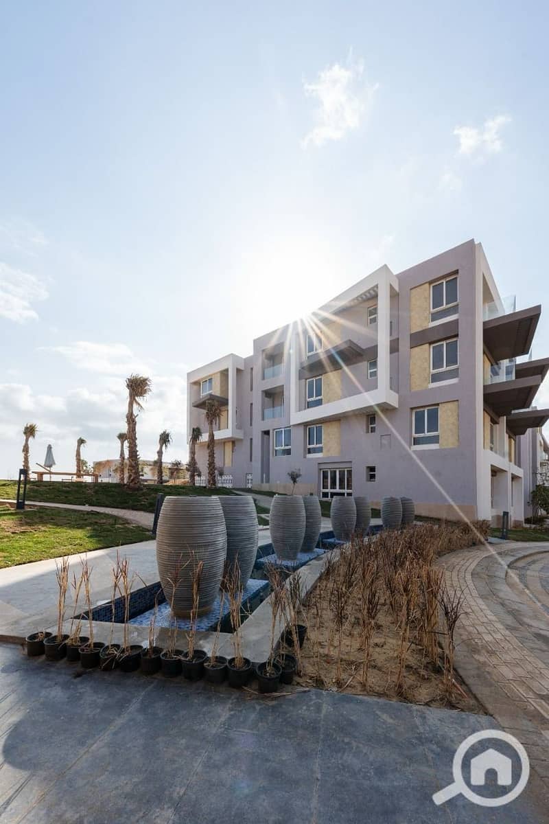 8 photo_2025-02-21_18-59-13. jpg